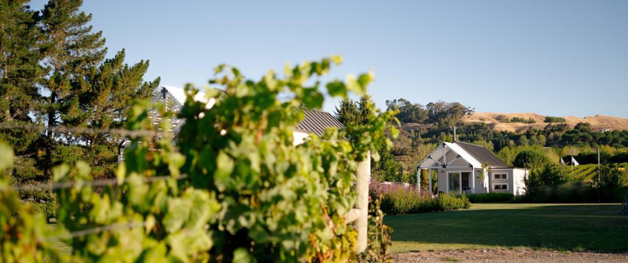 305 In The Vines Villa Havelock North Exteriör bild